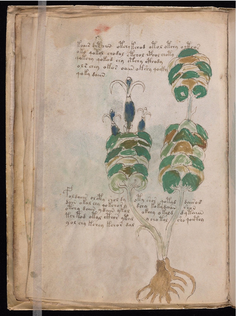 Original manuscript of Folio 13v